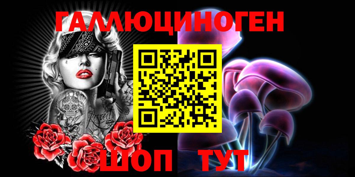 Галлюциногенные грибы Psilocybine cubensis Брянск